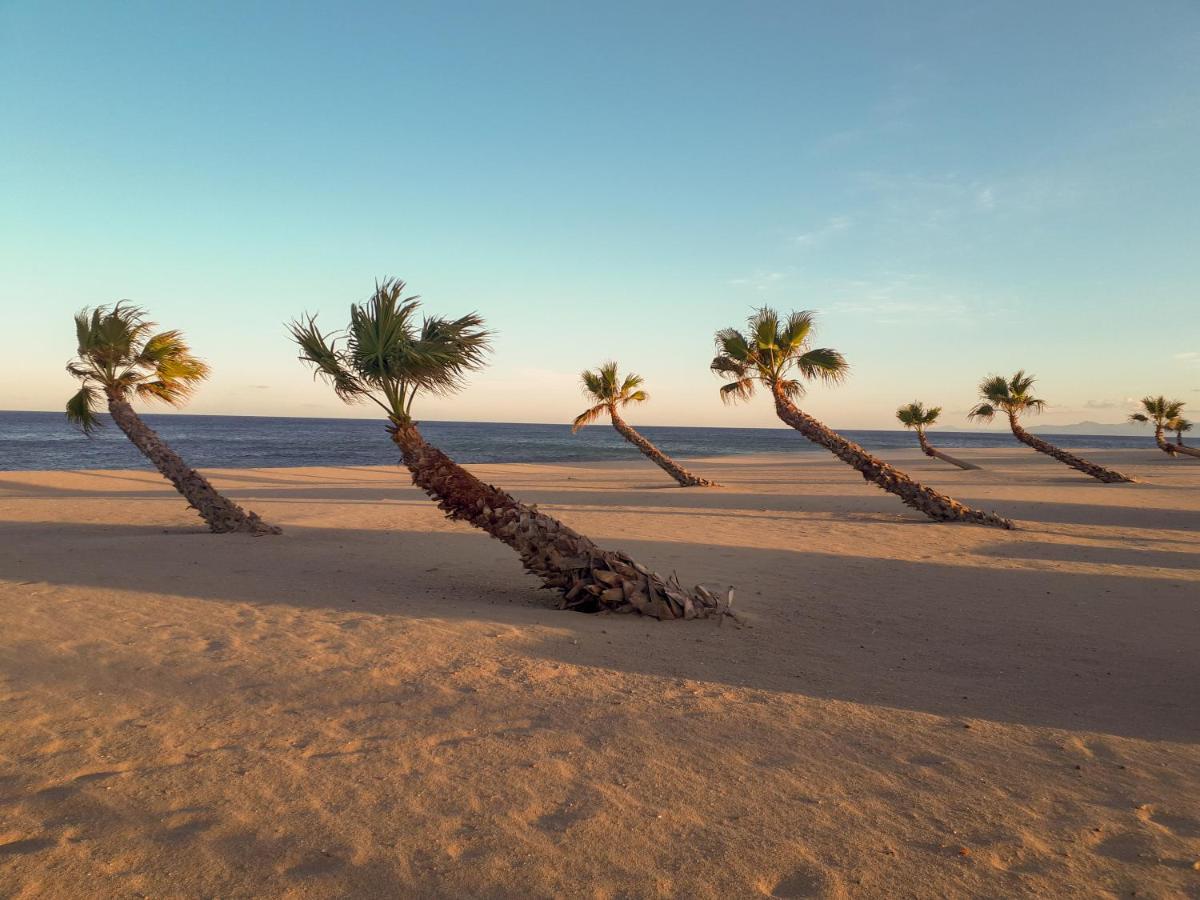 Appart Avec Terrasse Et Magnifique Vue Sur La Mer Le Barcarès Zewnętrze zdjęcie